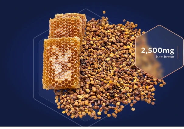 bee bread