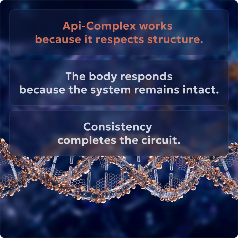 Api-Complex