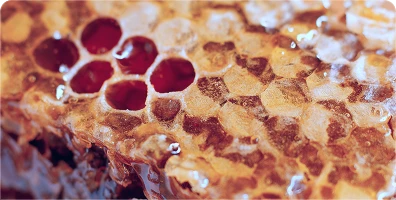 ROYAL JELLY DOSE
