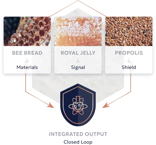 THE HIVE TRIAD — WHY THE SYSTEM HOLDS