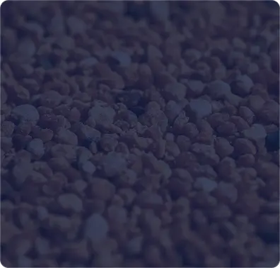 Propolis Dose