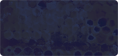 10-HDA