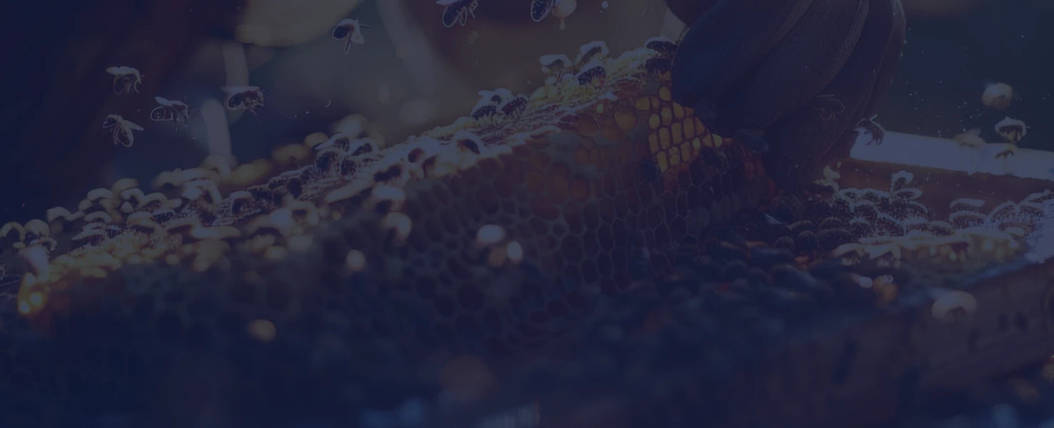 The hive triad background