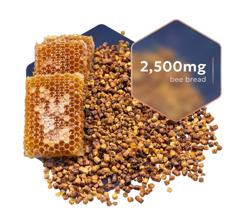 Bee Bread