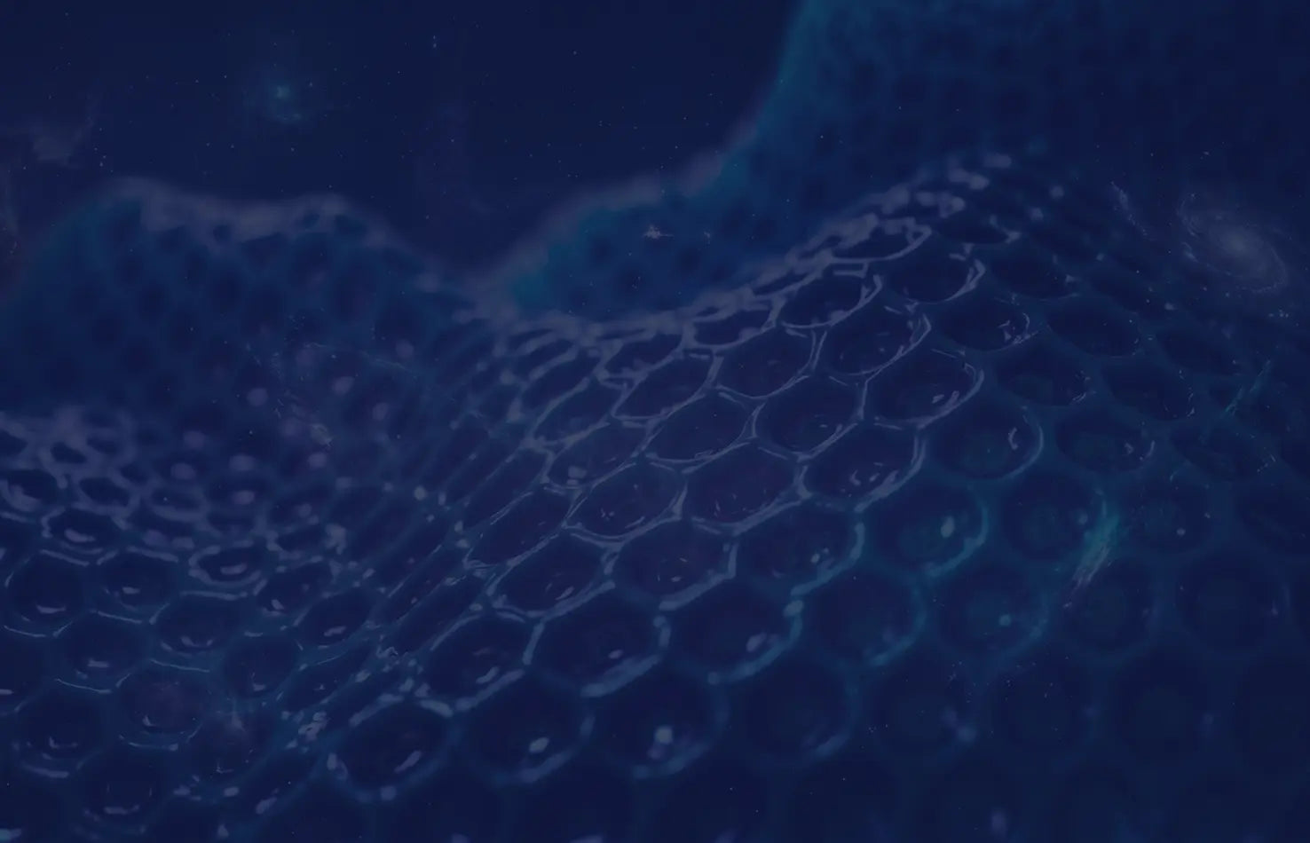 The hive triad background