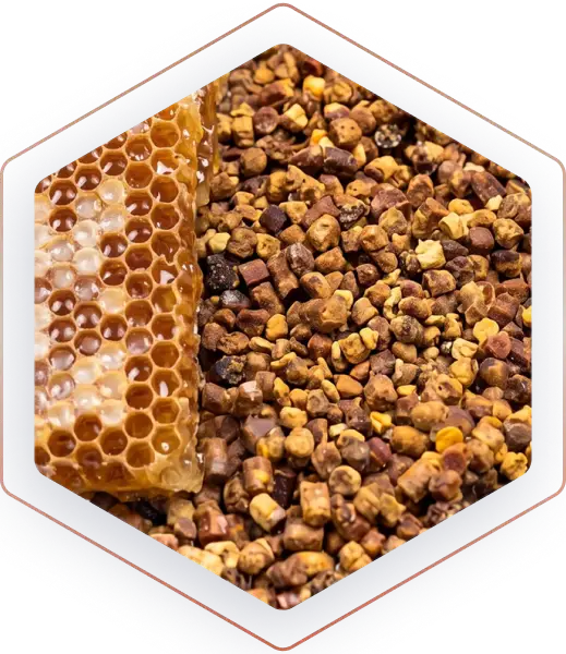 Bee Bread