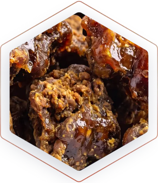 Propolis